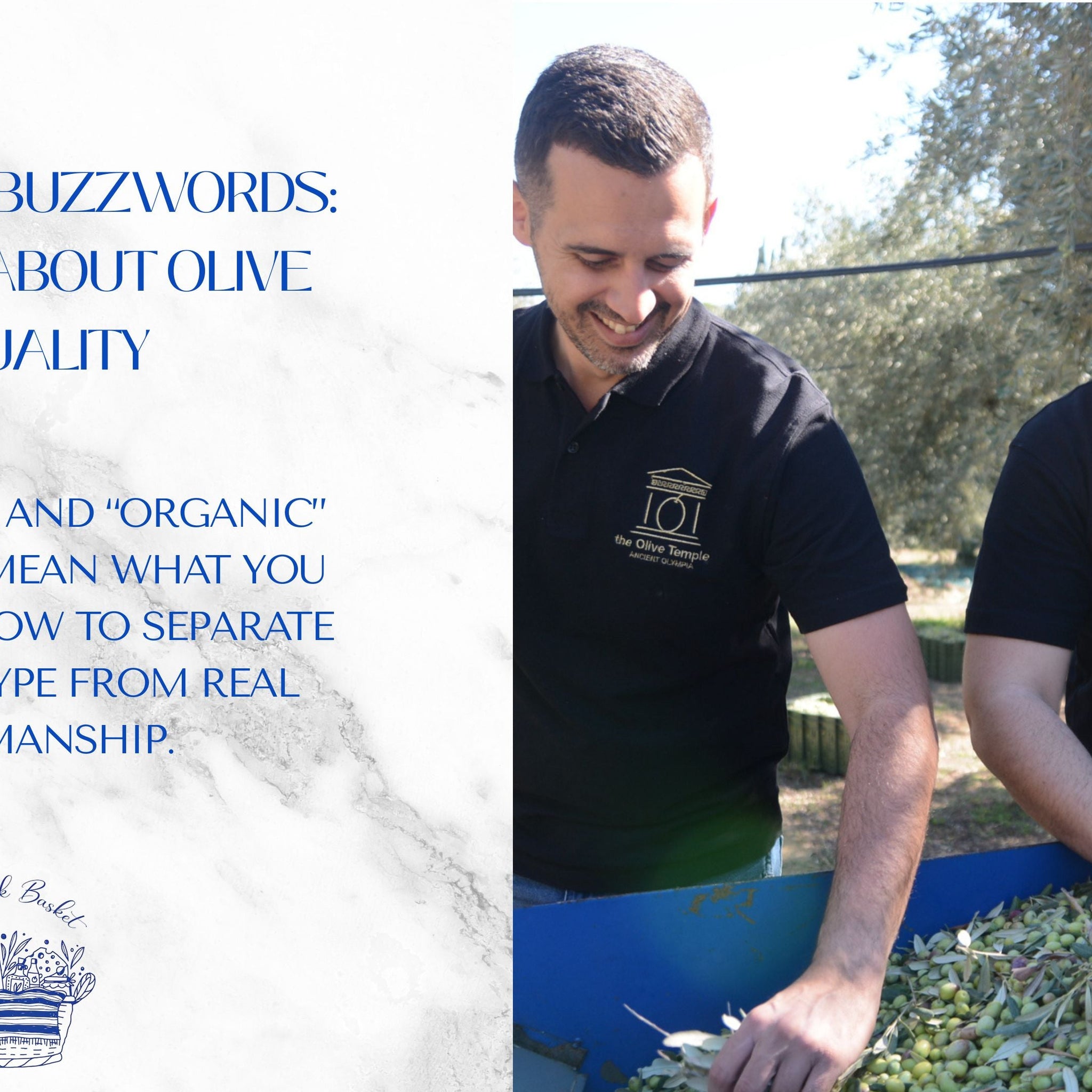 The Three Questions to Ask Before You Call an Olive Oil “Perfect”