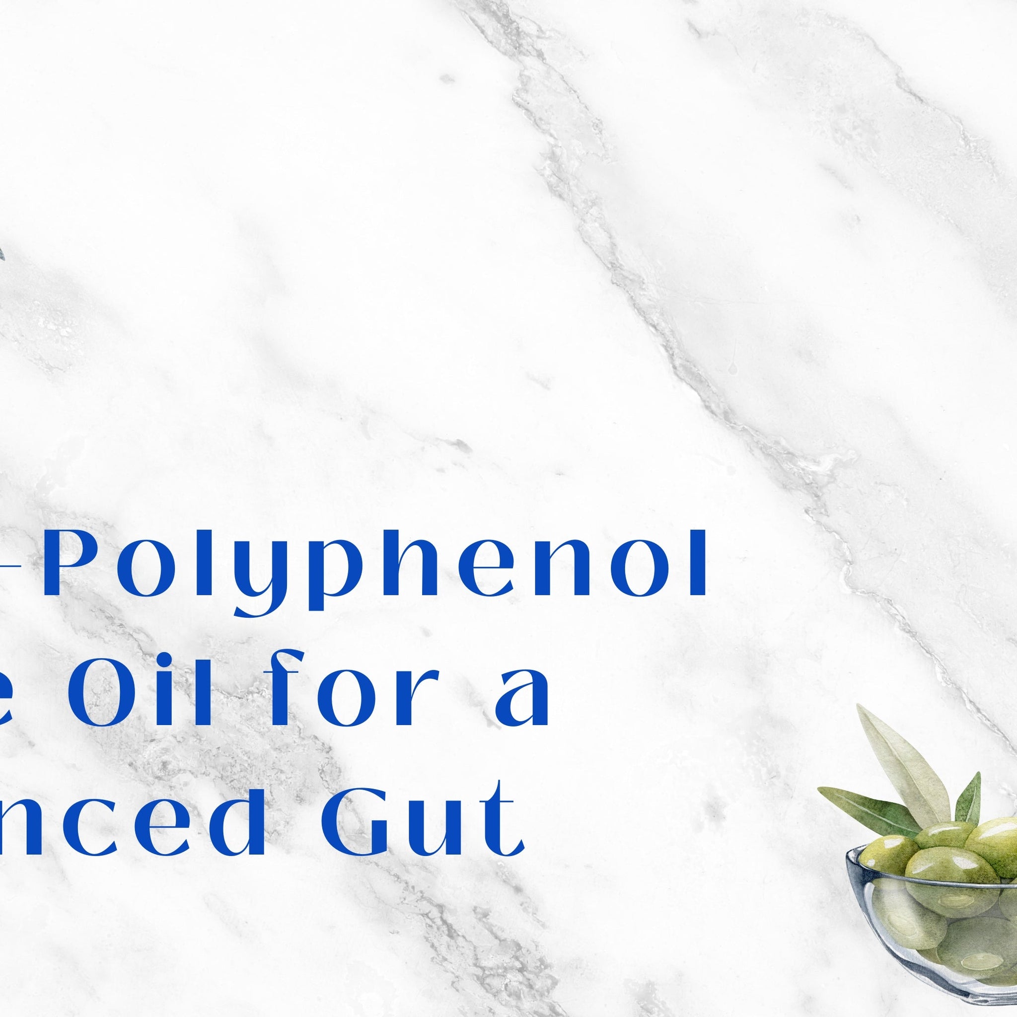 Supports Healthy Digestion: How High-Polyphenol Olive Oil Nurtures Your Gut