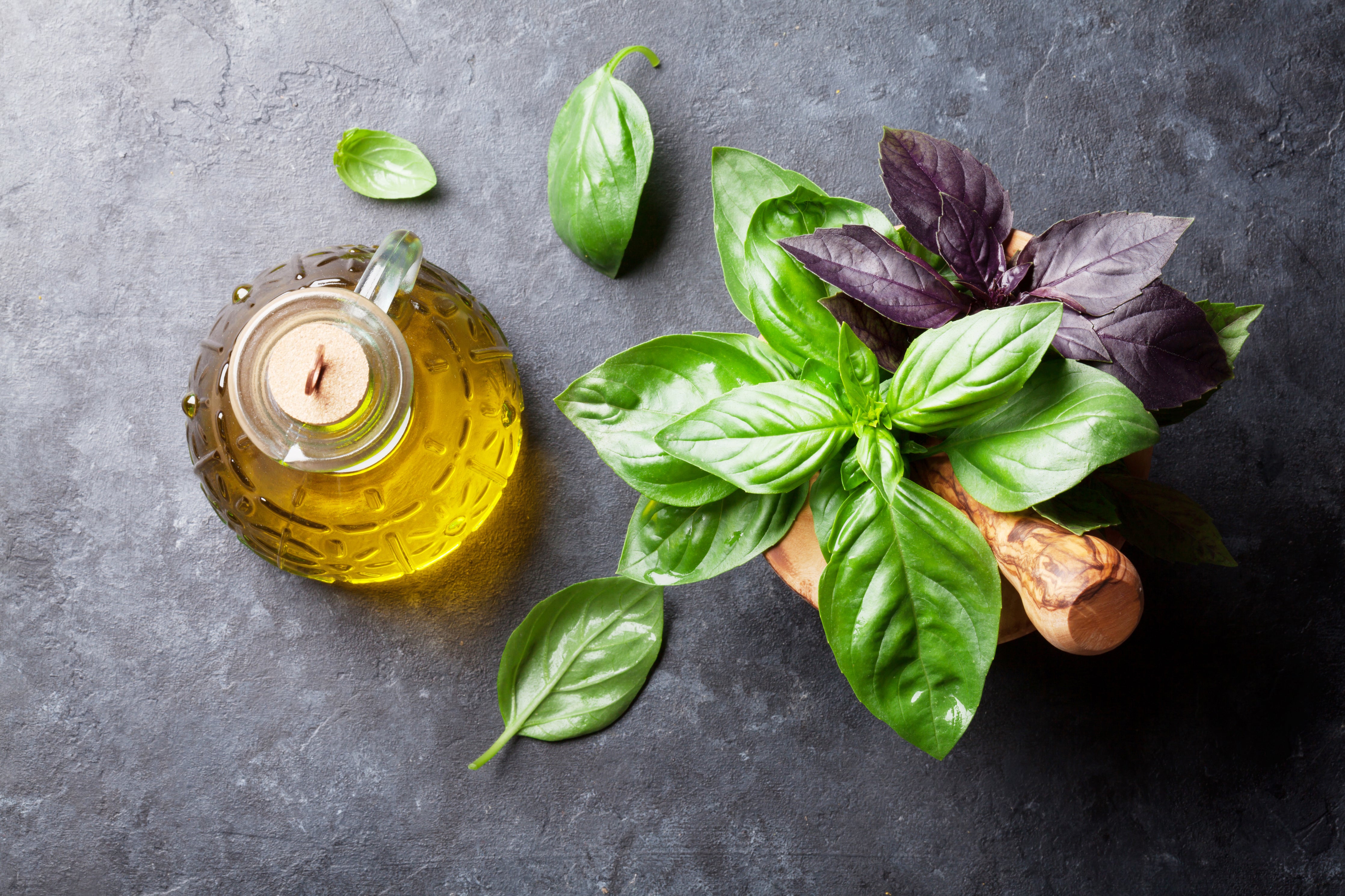 Basil Combination Basil and Extra Virgin Olive Oil: A Healthy Combination